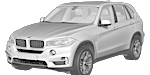 BMW F15 P1298 Fault Code